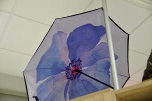 Photo n°12 de CHRIS COIFFURE à Champdeniers (Institut de spa et bien-être)