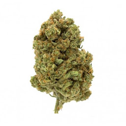 Photo n°4 de Green industrie CBD à Provins (Herboristerie)