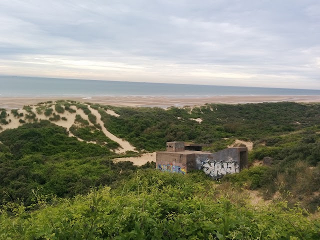 Cap Blanc Nez Wissant