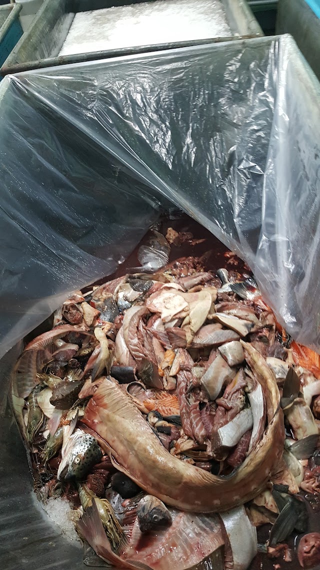 San Pedro Fish Market