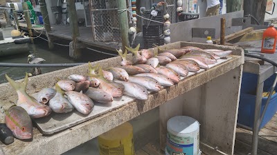 Photos of Sea Dog Charters Marina