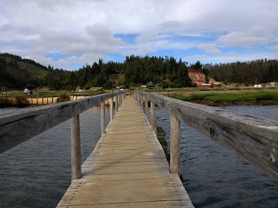 Photos of Salinas De Cahuil Pichilemu