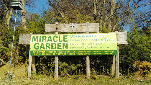 Miracle Garden - Visual