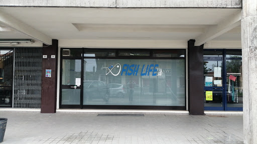 Fish Life di Polo Ivan