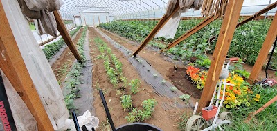 Blackberry Bog Farm