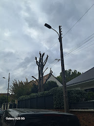 Photo n°32 de LANDOUER elagage à Verrières-le-Buisson (Service d'élagage)