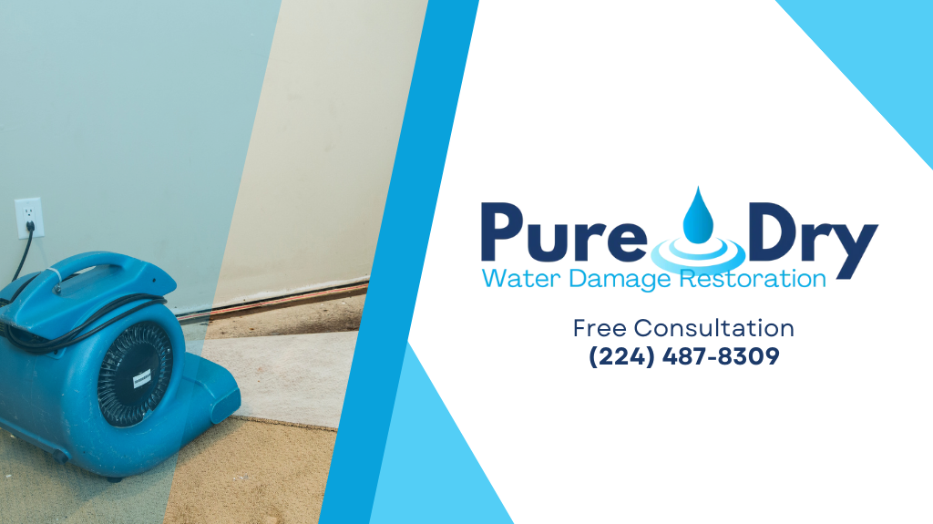 PureDry Water Damage Restoration photo