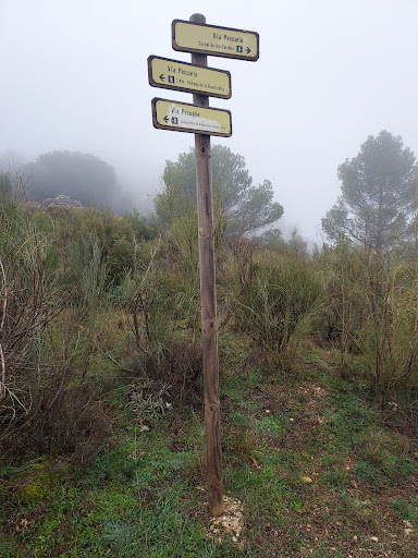 Nacimiento de Villanueva - Thumbnail