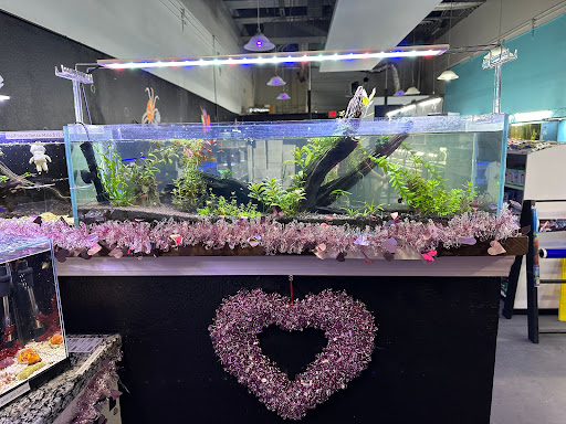 Lone Star Aquariums - Thumbnail