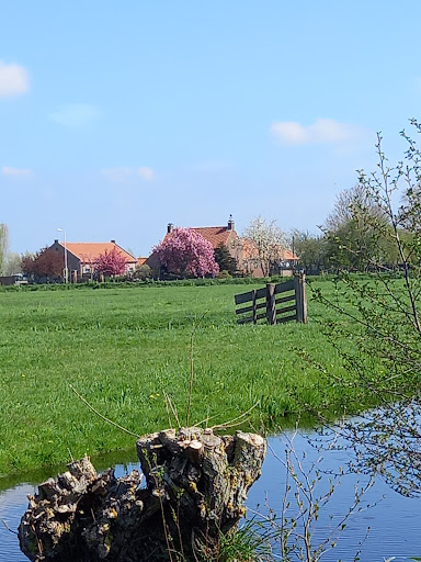 Boas Dierenpension - Thumbnail