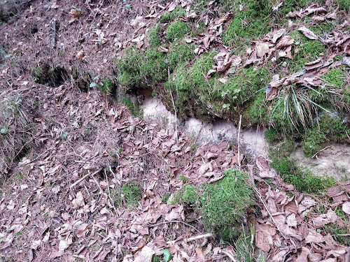 Akmeninis grindinys "Brukas"