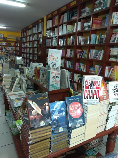 Librería Diliss - Visual