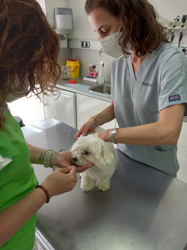 Clínica Veterinaria Innova Veterinaria