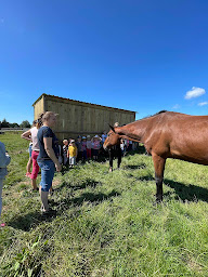 Photo n°13 de Écuries Montévaste à Berles-au-Bois (Centre équestre)