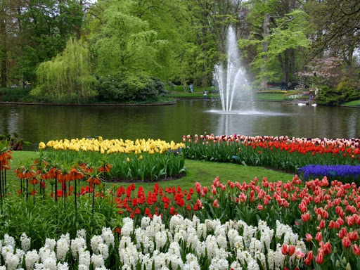 Birwa tours Gallery - Netherlands