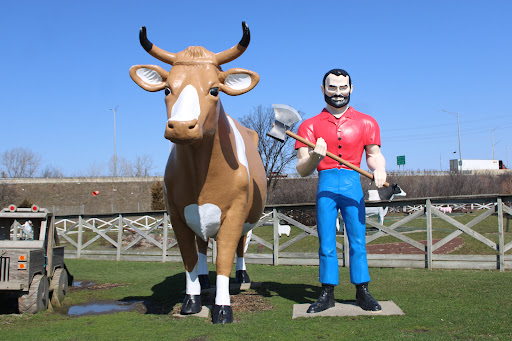 Lambs Farm - Visual