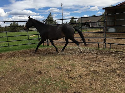 The Red Horse Riding School