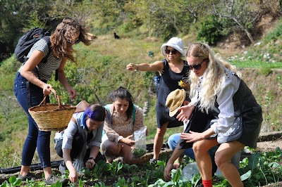 GASTRONOMIC TREKKING Food & Team Experience