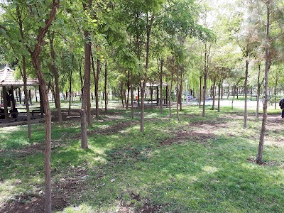 Photos of پارک مسافر