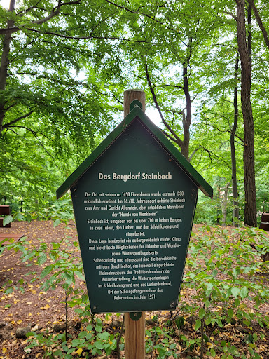 Steinbacher Blick - Visual