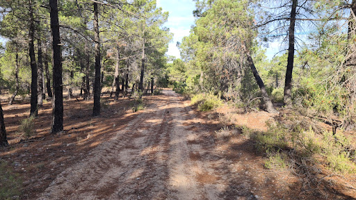 Paraje 'Las zorreras" Logo
