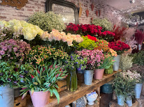 Patchouli à Pagny-sur-Moselle