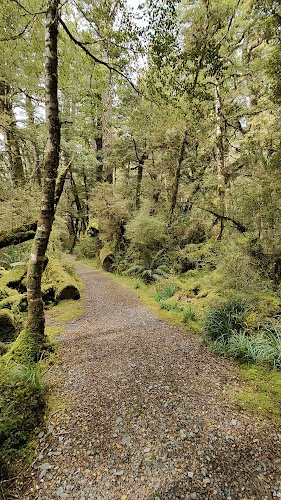 Lake Gunn Nature Walk Open Times