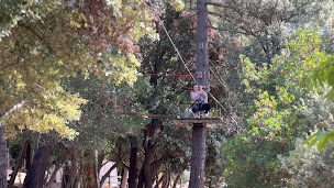 Photo n°2 de Accrobranche Riviera Nature Grasse à Grasse (Attraction touristique)