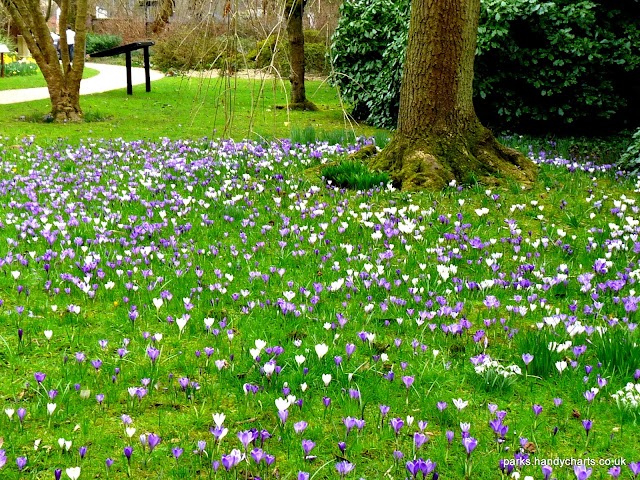 Fletcher Moss Park