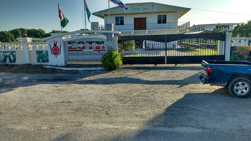 Insurance Corporation of Belize - Thumbnail