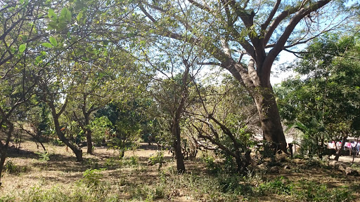 Chiapa Garden - Visual