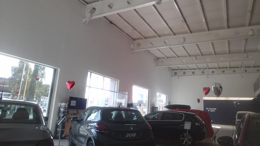 PEUGEOT AGUASCALIENTES - Visual