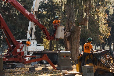 Flynn's Tree Service