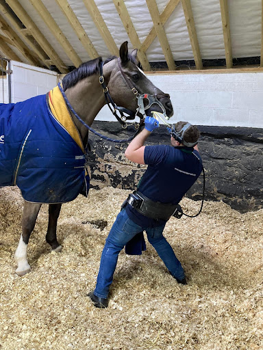 Steven Moseley Equine Dental Services - Thumbnail