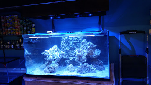 Riptide Reefs - Visual