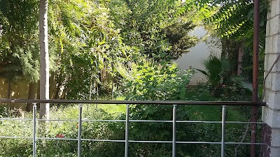 Photos of Cemetery گۆڕستان