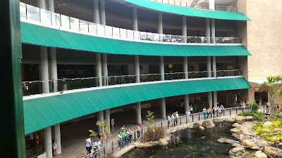 Photos of Acuario En C.C. Primavera