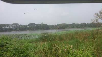 Photos of Eriyagama Wewa talawa