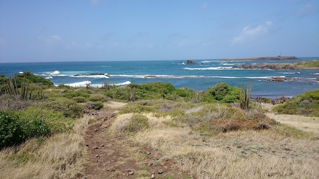 Savane des Pétrifications