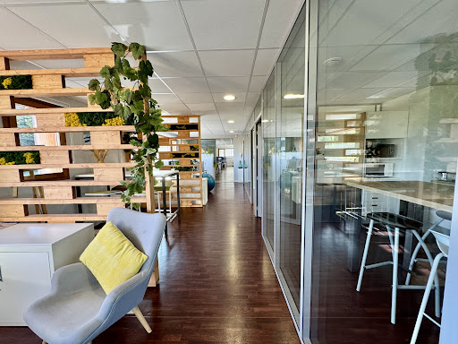 CBRE Axite Annecy immobilier d'entreprise - Thumbnail