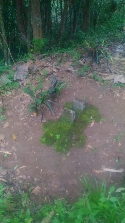 Photos of Goa Gong