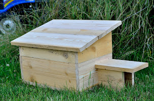 Photo n°13 de Or des Soucis à Le Boulay (Réserve naturelle)