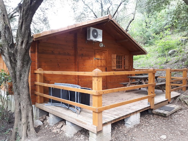 Camping L'alivetu