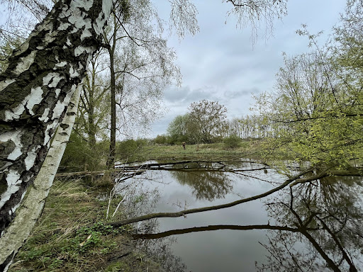 Allerwiesen