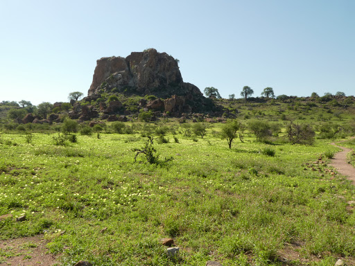 Mapungubwe National Park, Limpopo Province | DestiMap | Destinations Map