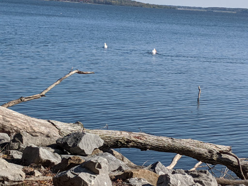 Rend Lake Visitor's Center