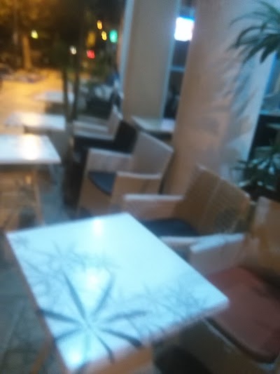 Photos of Tarik Caf&eacute;