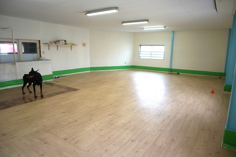 わんわん保育園DUCA（デュッカ）・トリミングサロンDUCA