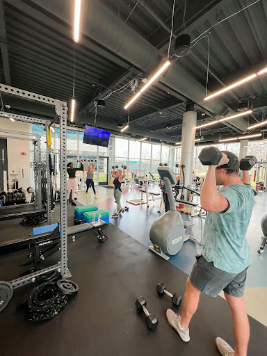 CSS Wellness - Visual