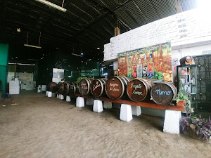 Bodegas y Viñedos Grimaldi 4